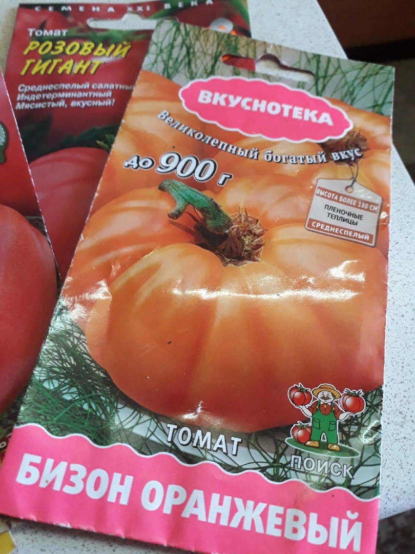 Низкорослые томаты сажаю каждый год. И вам советую