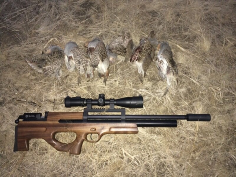 Охота на мелкую дичь