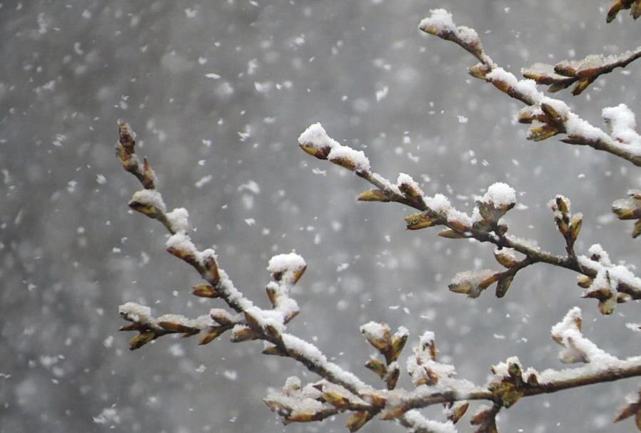 Фото – stihi.ru