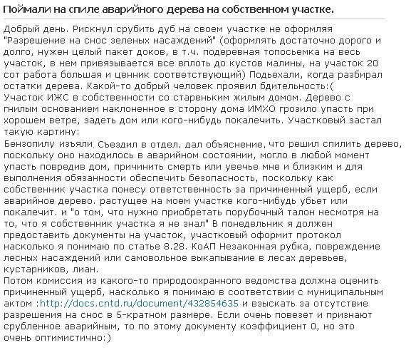 Лес на своем участке. Оказывается, его нельзя просто так вырубить