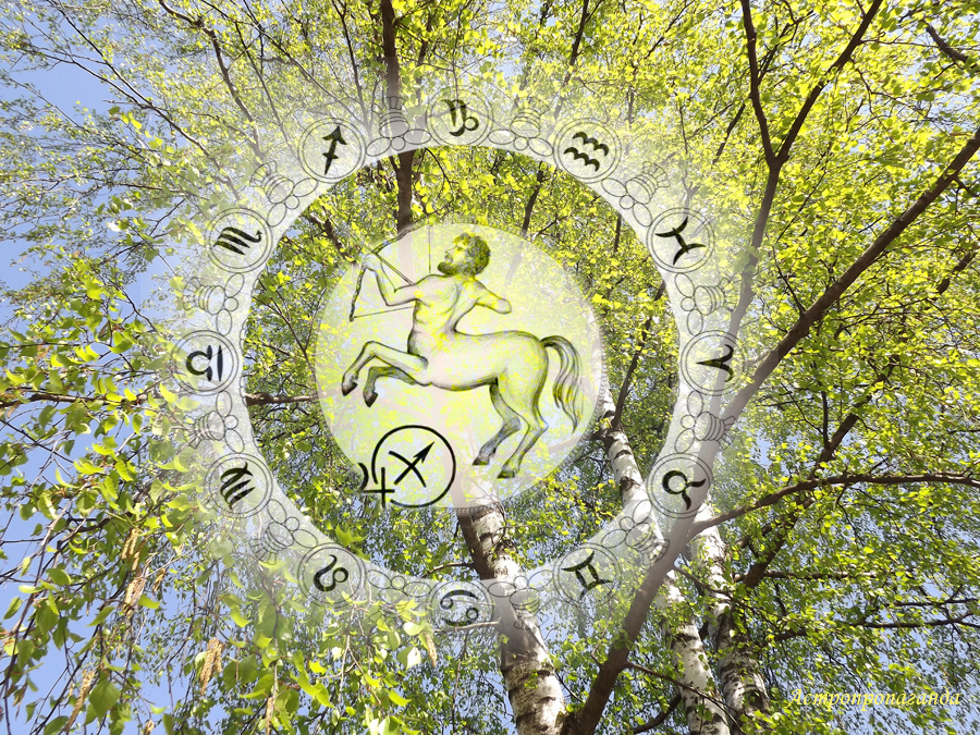 Коллаж Нины Стрелковой.