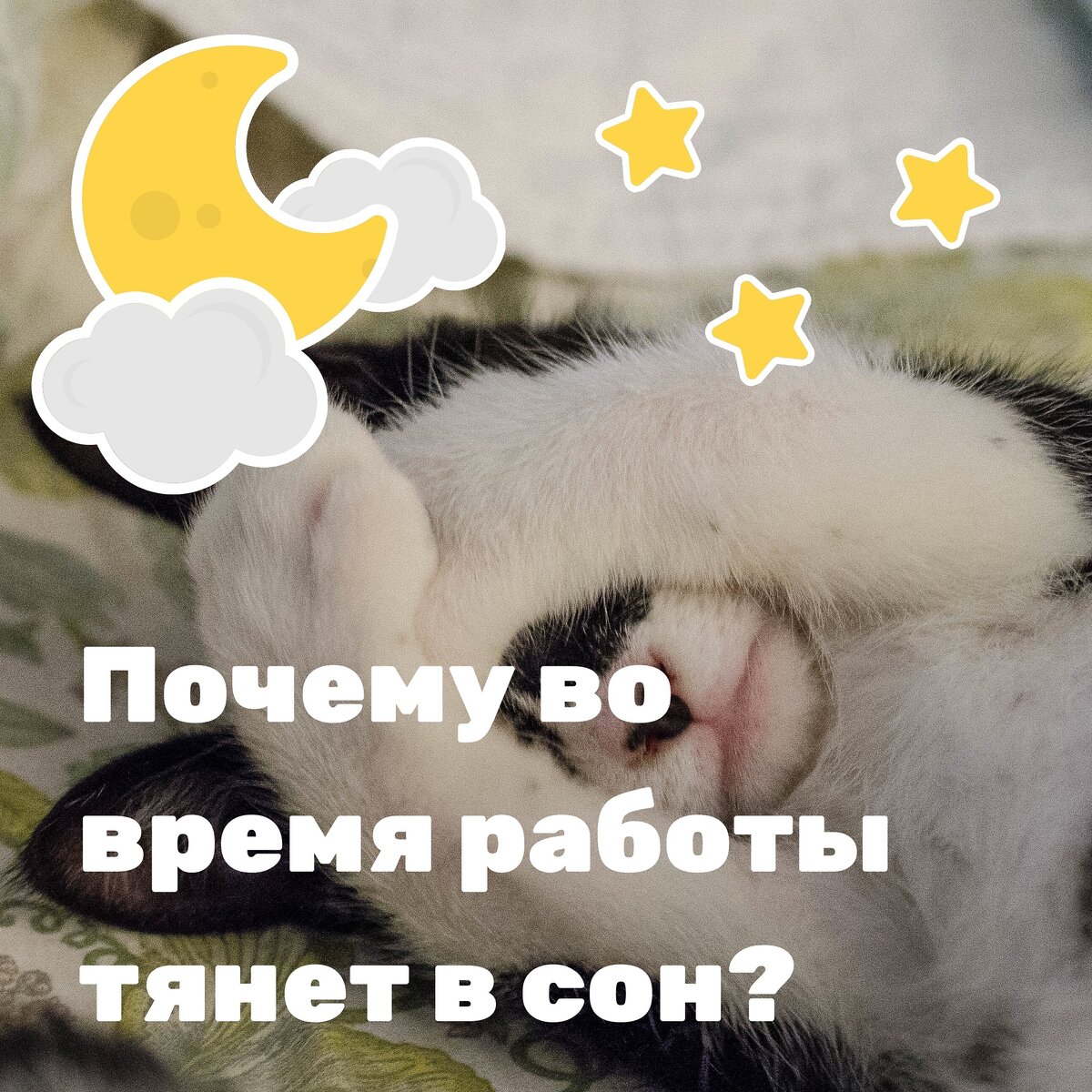 Тянет в сон. Почему тянет в сон. Тянет в сон днем причины. Осень на работе тянет в сон.