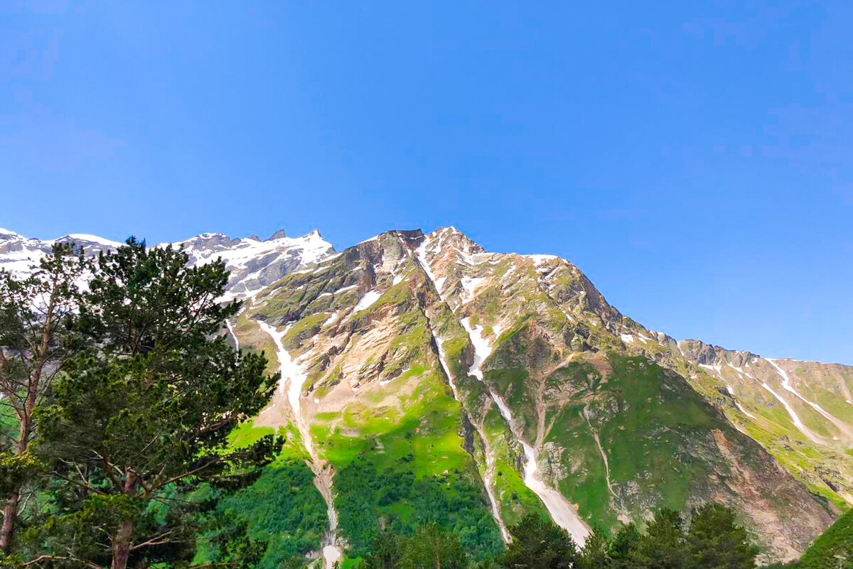 Мария Чижевская