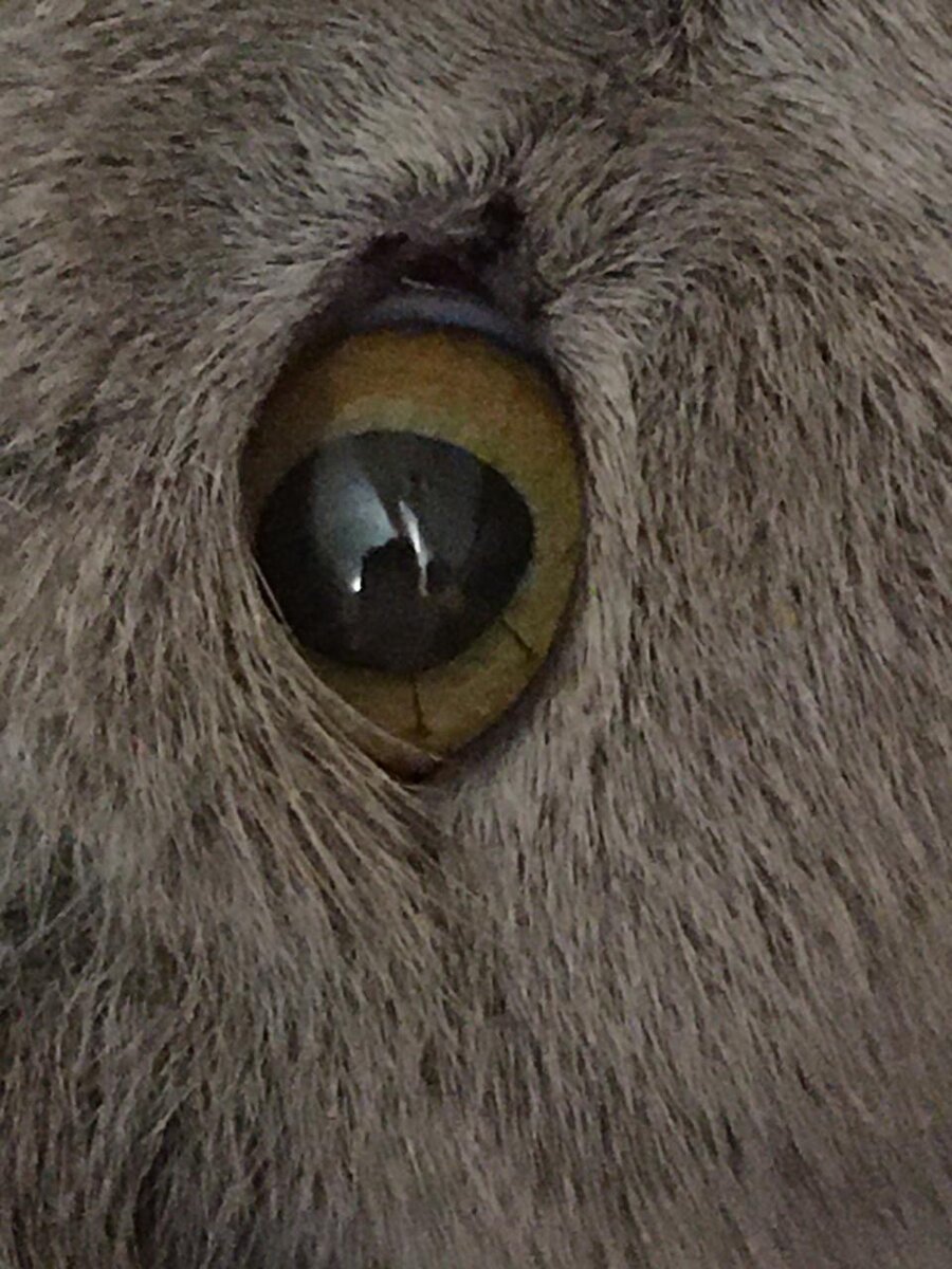 Фото из личного архива