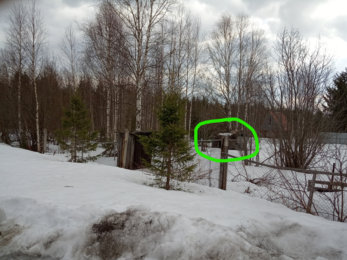 Домик на участке и куча ёлок , берёзок