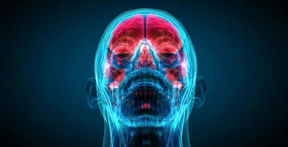 Фото взято из Яндекс.Картинки.