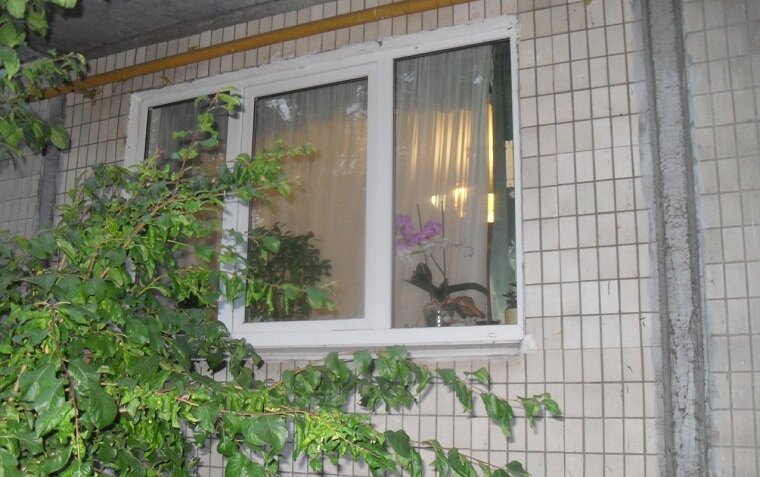 Ограбление квартиры Стоит ли обращаться в полицию фото из интернета