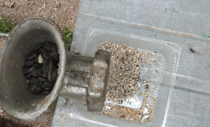 Источник: Яндекс картинки