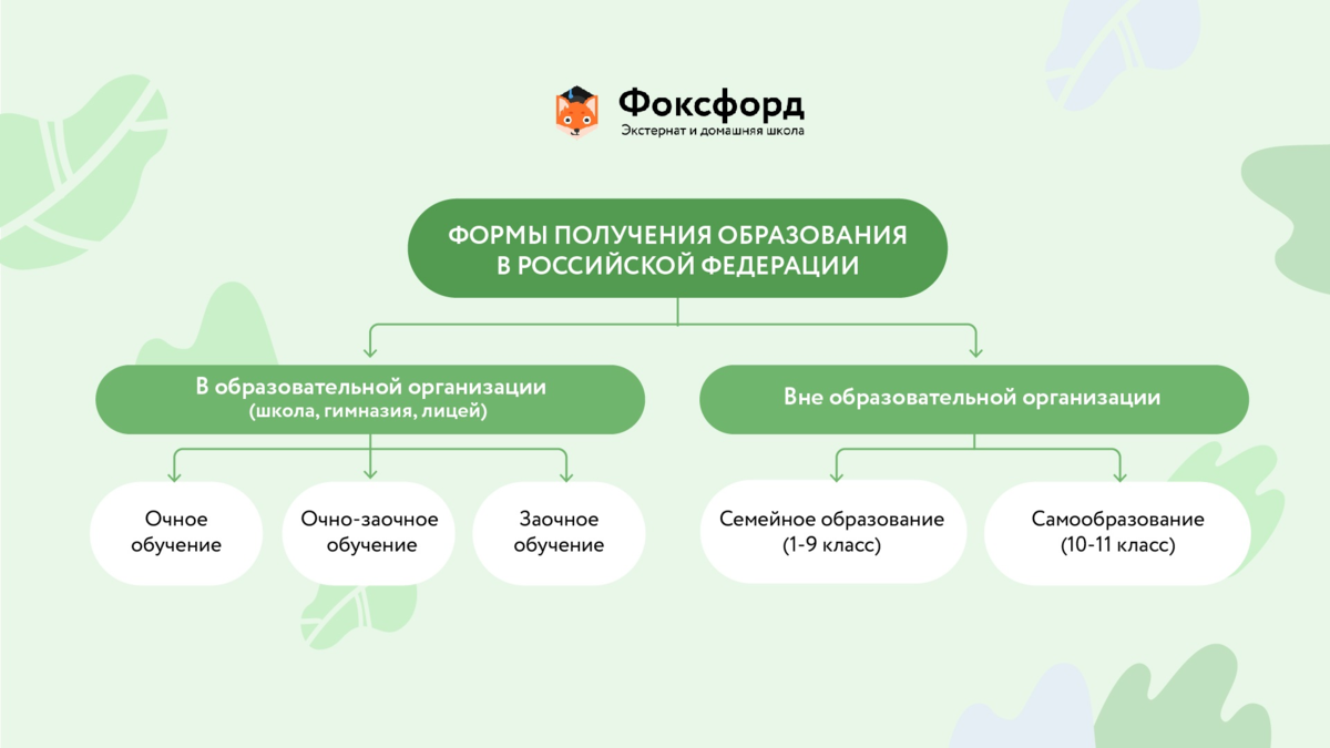 Семейное или заочное образование — в чём разница и что выбрать. Часть 1 |  Фоксфорд | Дзен