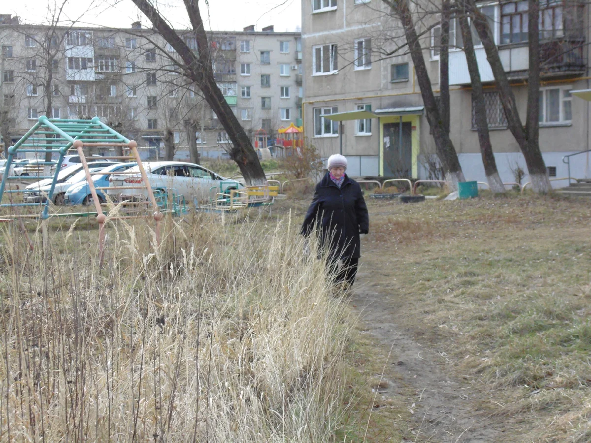 Рассказы дзен серпантин жизни