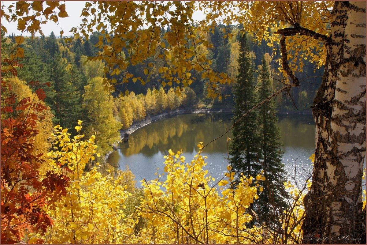 Яндекс картинки.