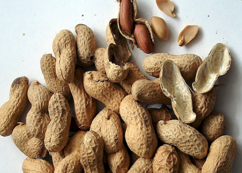 Арахис польза и вред для человека. Арахис при похудении. Можно ли есть арахис с кожурой. Можно ли соленый арахис при похудении.