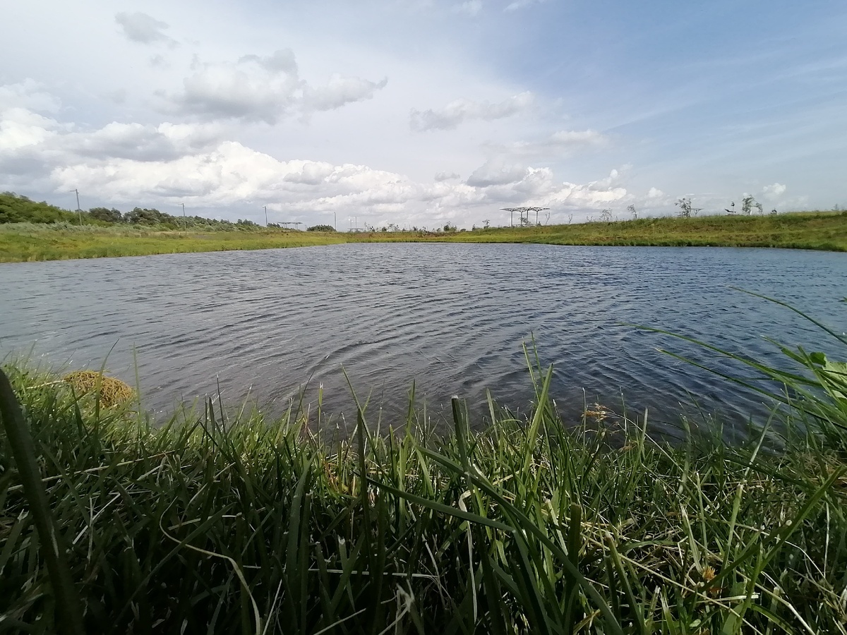Нам кажется, что мы можем руководить природой, но на самом деле мы лишь грамотно подчинились. И то, в очень малой степени.