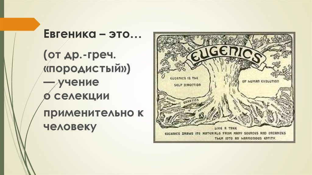 Из открытого источника.
