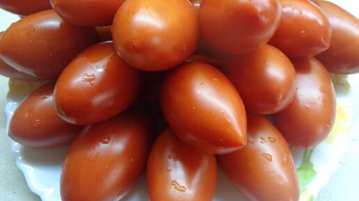 Этим томатам не нужны теплицы! Самые выносливые и неприхотливые!