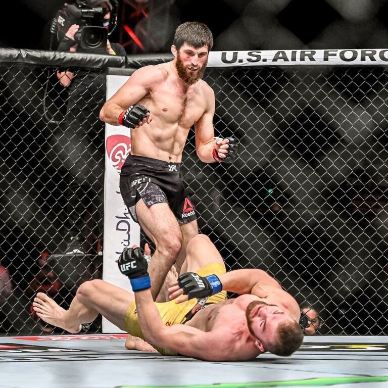 Анкалаев следующий бой. Боец мма магомед анкалаев. магомед анкалаев ufc. ион куцелаба магомед анкалаев. ufc 254 анкалаев куцелаба.