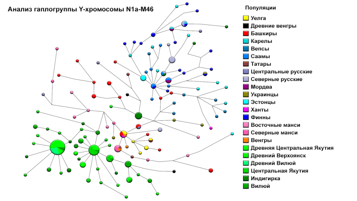 Генетика национальность