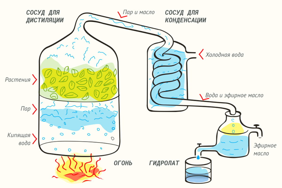 Steam distillation plant material фото 107