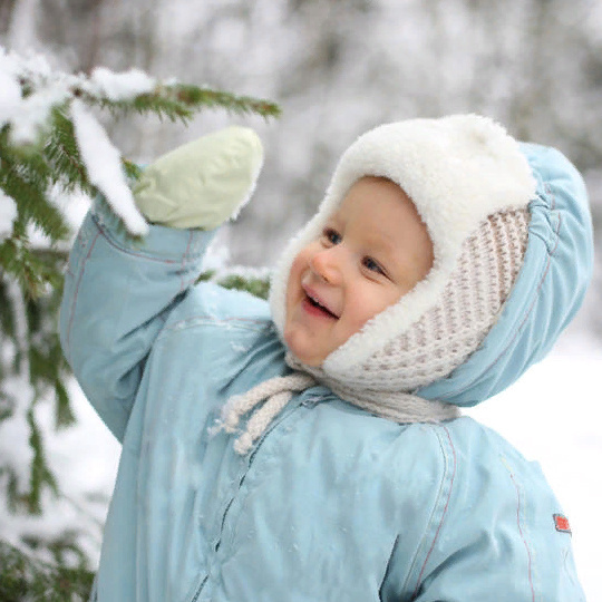 Источник: Интернет.