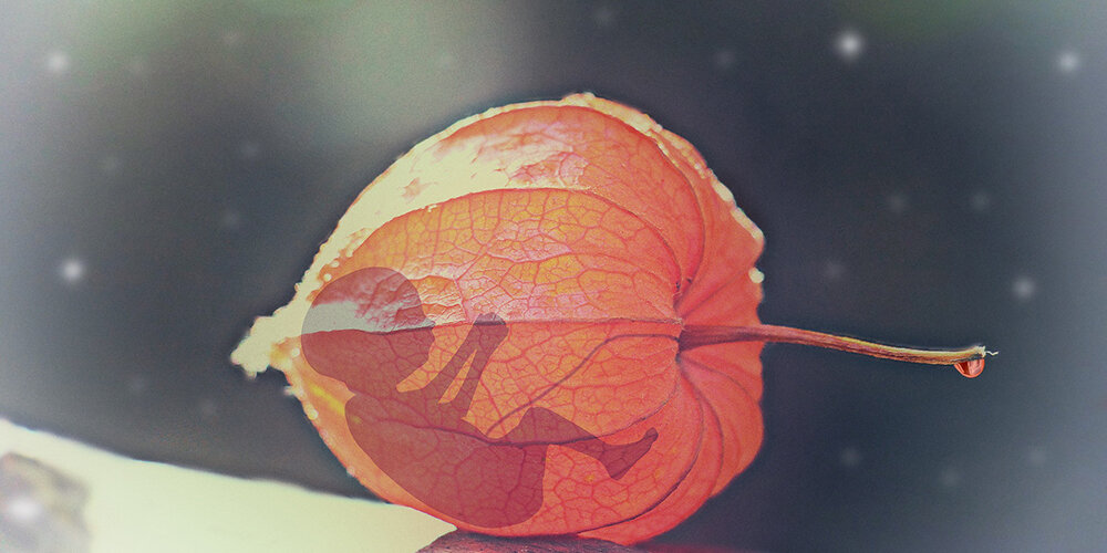 Фото: pxhere.com