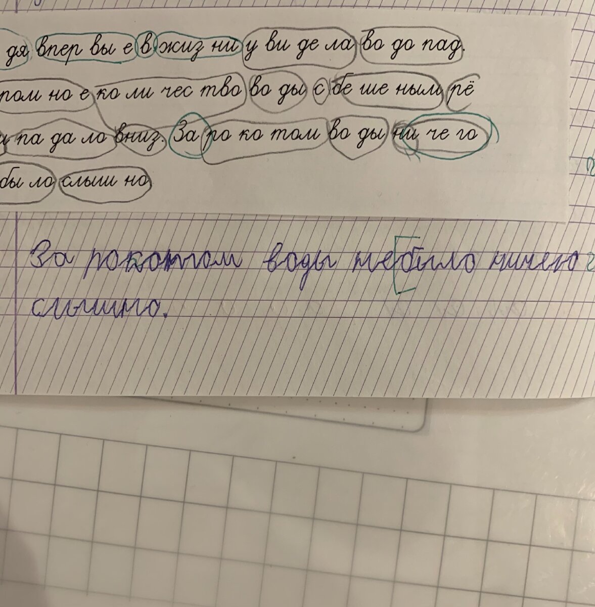 Почему я не хочу переводить ребенка с дисграфией в обычную школу, несмотря  на наше недовольство частной. | Булавка для бабочки | Дзен