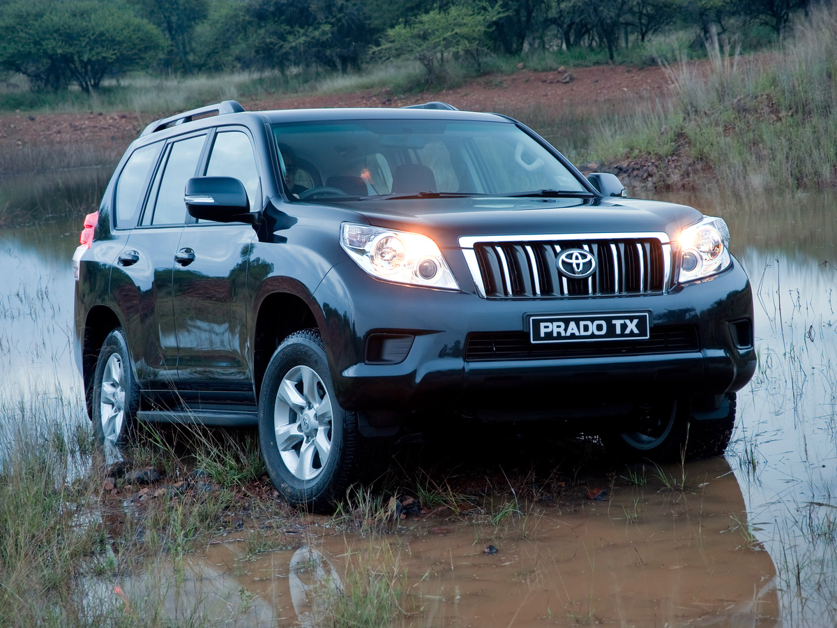 Источник яндекс картинки