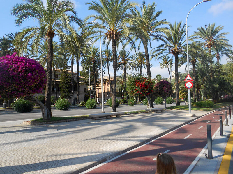 По велодорожке