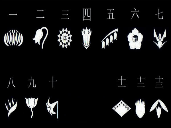 Эмблемы 13 отрядов Готей-13 (слева направо верхний ряд): 1 отряд - хризантема, 2 отряд-цикламен, 3 отряд - календула, 4 отряд - горечавка, 5 отряд - ландыш, 6 отряд - камелия, 7 отряд - ирис. (нижний ряд): 8 отряд - стрелиция, 9 отряд - лютик, 10 отряд - нарцисс, 11 отряд - тысячелистник, 12 оряд - чертополох, 13 отряд - подснежник