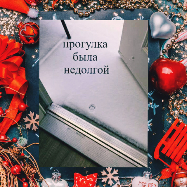 Источник: vk.com