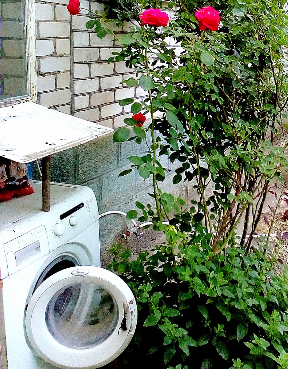 фото автора, стиральная машина на улице