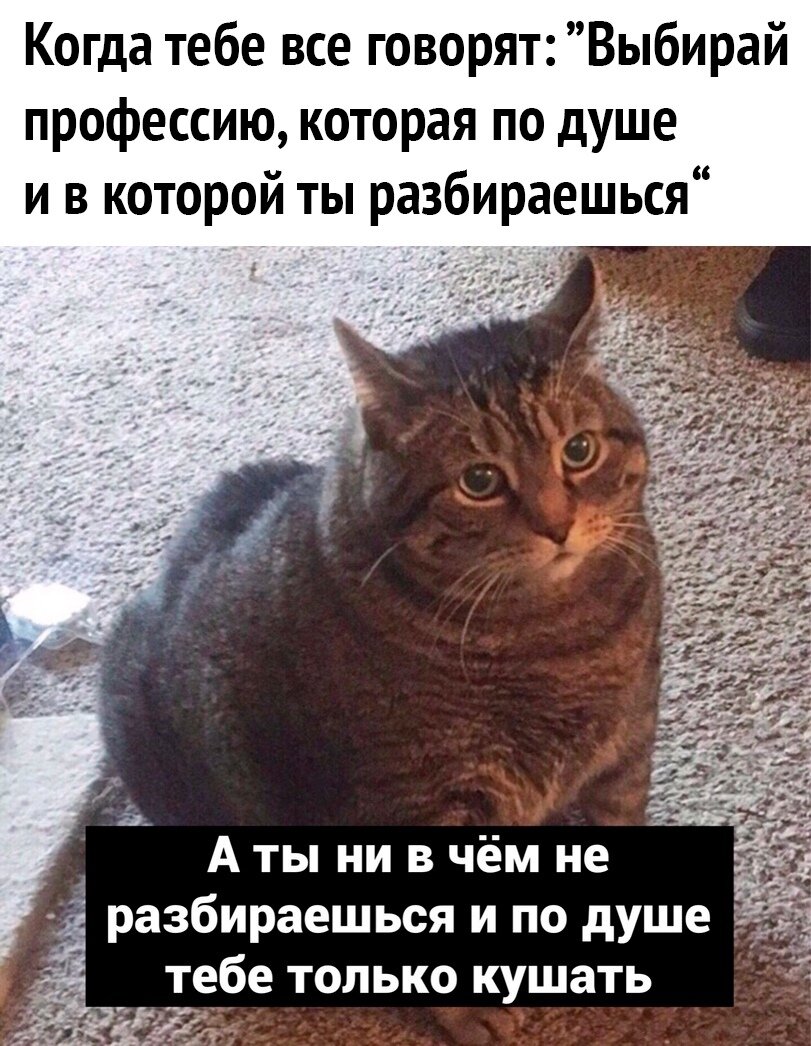 Были в моей жизни периоды, когда реально по душе было только кушать