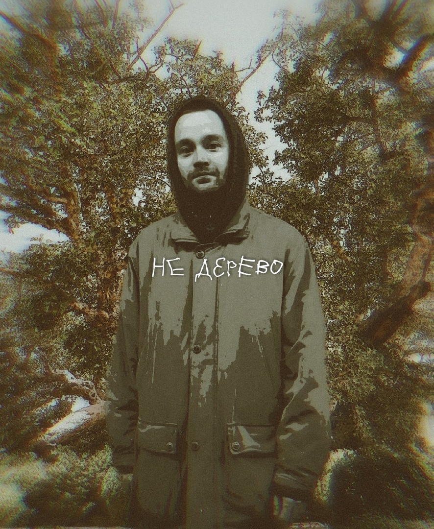 Закария Туктаров (СикАмор) — не дерево.