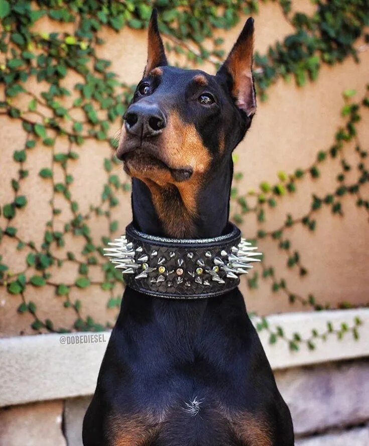 Источник фото: pinterest.com