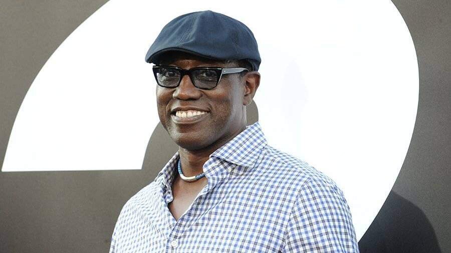 Фото: Global Look Press/AUG