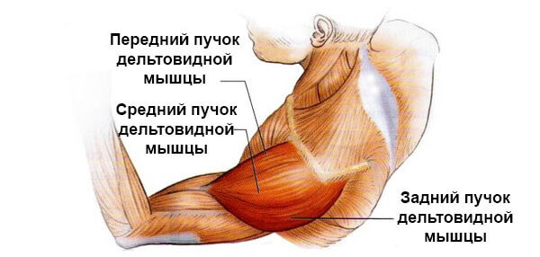 практически наглядно)