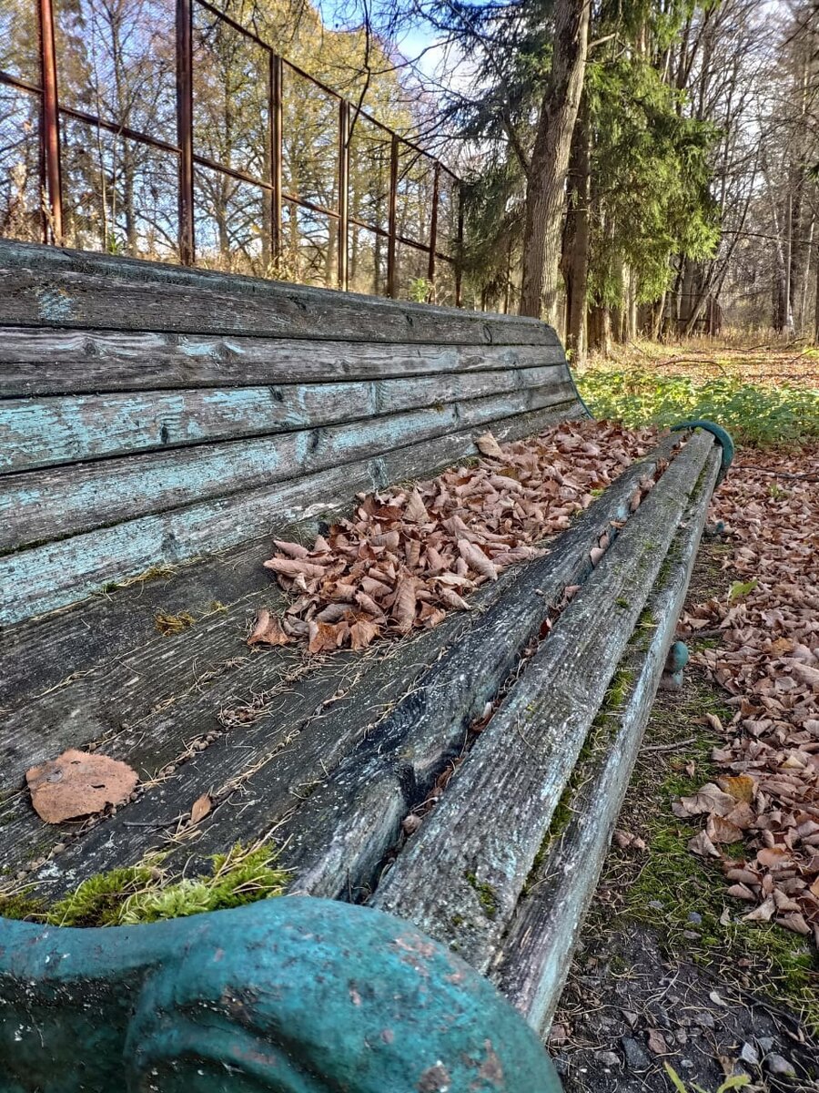 Время, как и карма берет свое, если за Душой или Домом не ухаживать. Фотограф Елена Усольцева.
