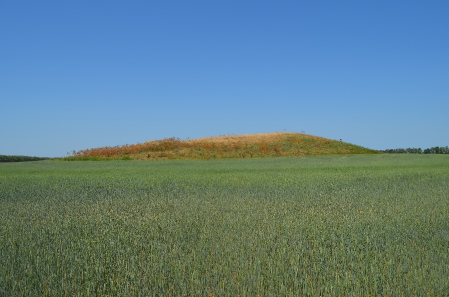 Царский курган