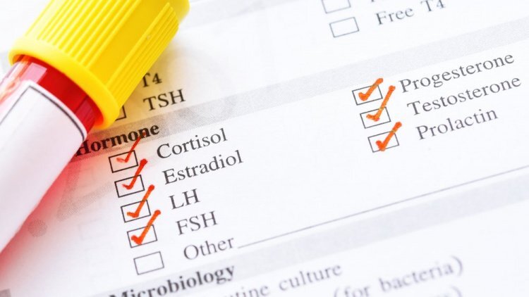 Существует несколько форм эстрогенов, каждый отвечает за свою функцию. 