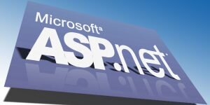 ASP.Net фулстек-программист.