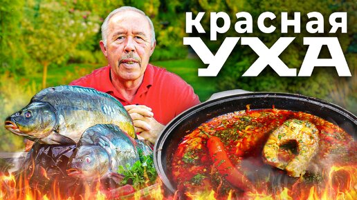 Уха из карпа