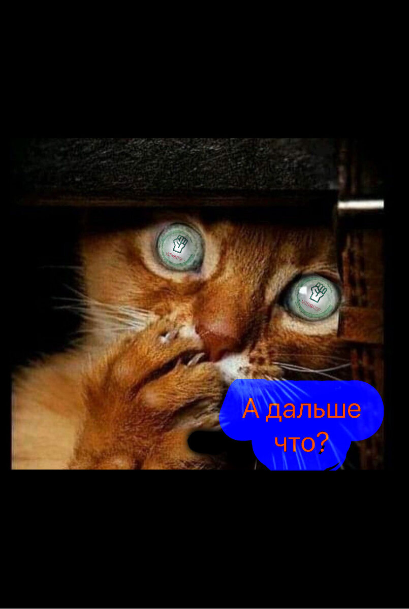 Коллаж автора. 