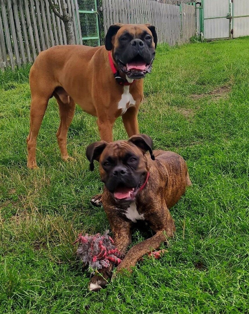 Можно листать