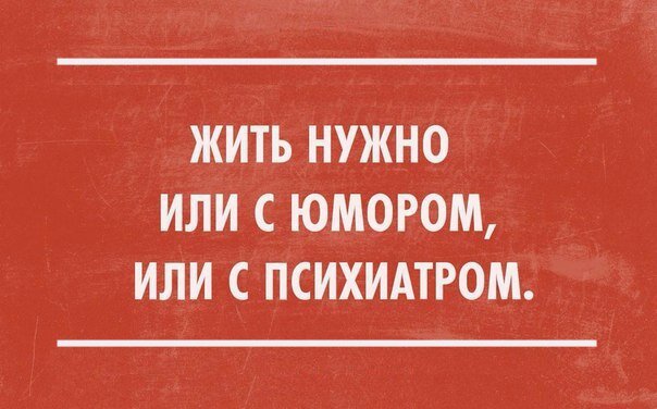 Яндекс картинки