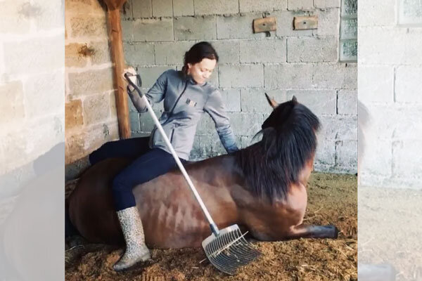 Источник фото сервис Яндекс.Картинки