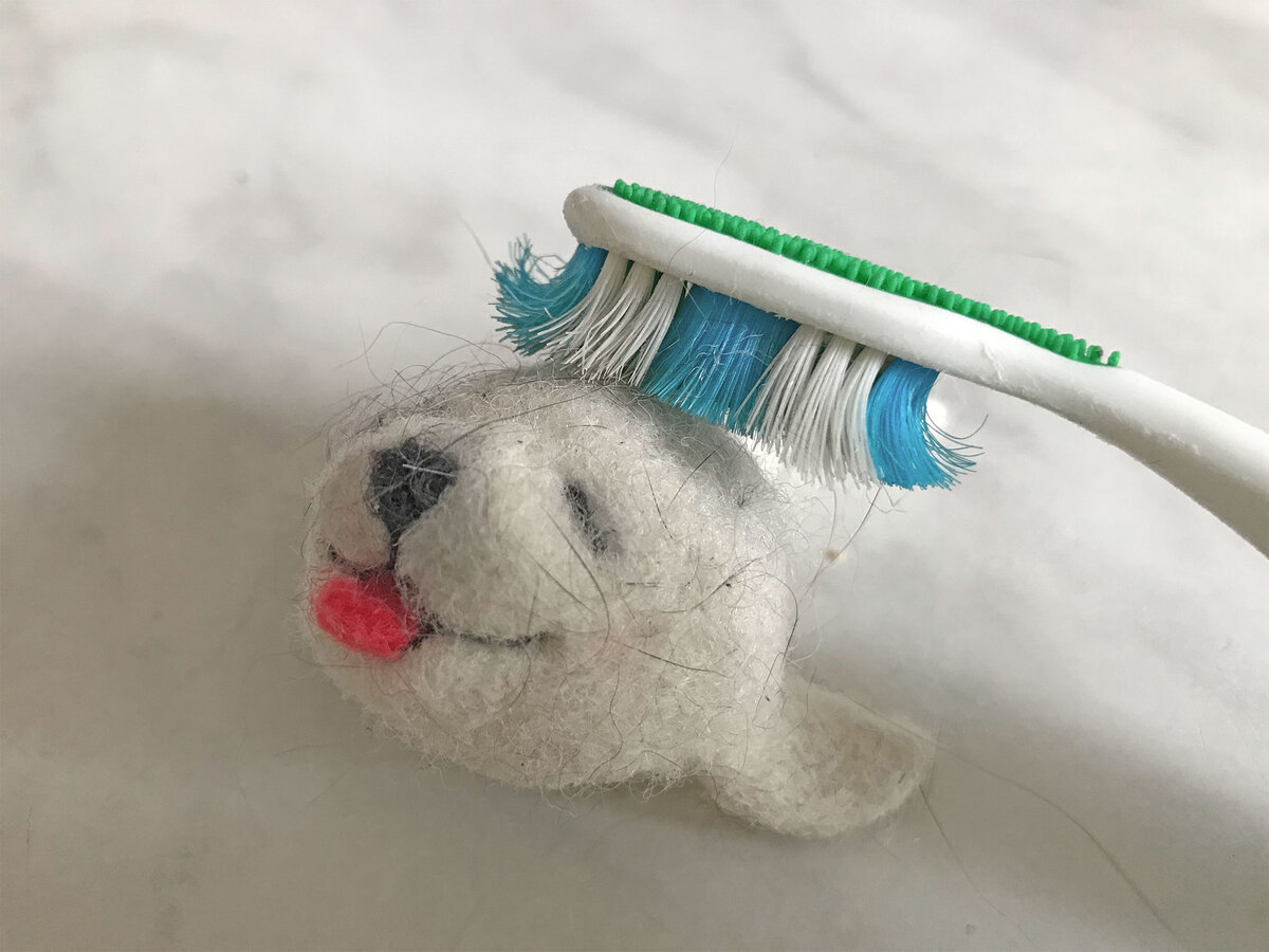 Коты утащили моего котика и обваляли его своей черной шерстью