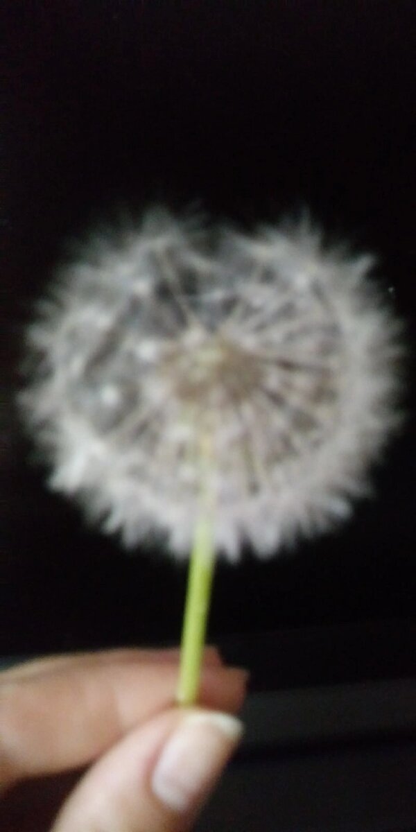 Вот для меня образец Стрессоустойчивого поведения