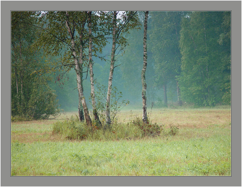 Фото из открытых источников.