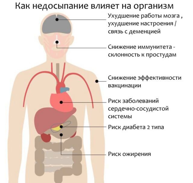 КАК НЕДОСЫПАНИЕ ВЛИЯЕТ  НА ОРГАНИЗМ 