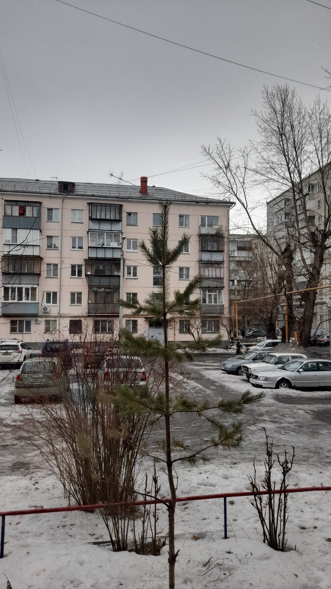 "Доброе утро, мир! Ты прекрасен!" Фото автора