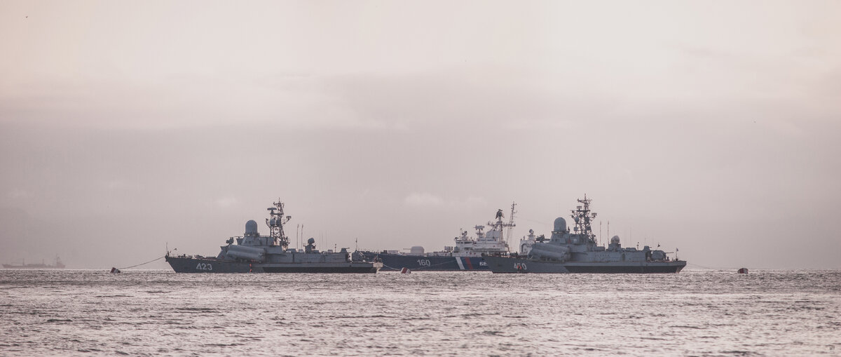 Построение кораблей Тихоокеанского ВМФ в Авачинской губе.
На переднем плане малые ракетные корабли проекта 1234 «Овод», за ними пограничный сторожевой корабль Береговой охраны ФСБ России проекта 11351.